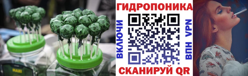 Cannafood конопля  где можно купить   кракен tor  Усть-Джегута 