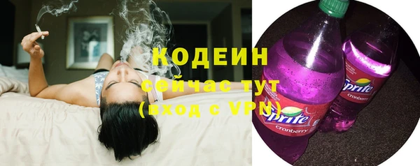 крисы Лабытнанги