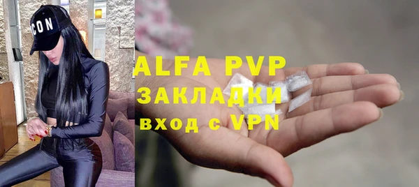 мяу мяу мука Пионерский