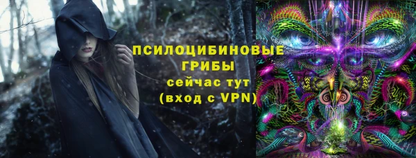 крисы Лабытнанги