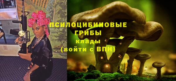 spice Лагань